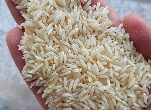 خرید و فروش برنج هاشمی دودی با شرایط فوق العاده